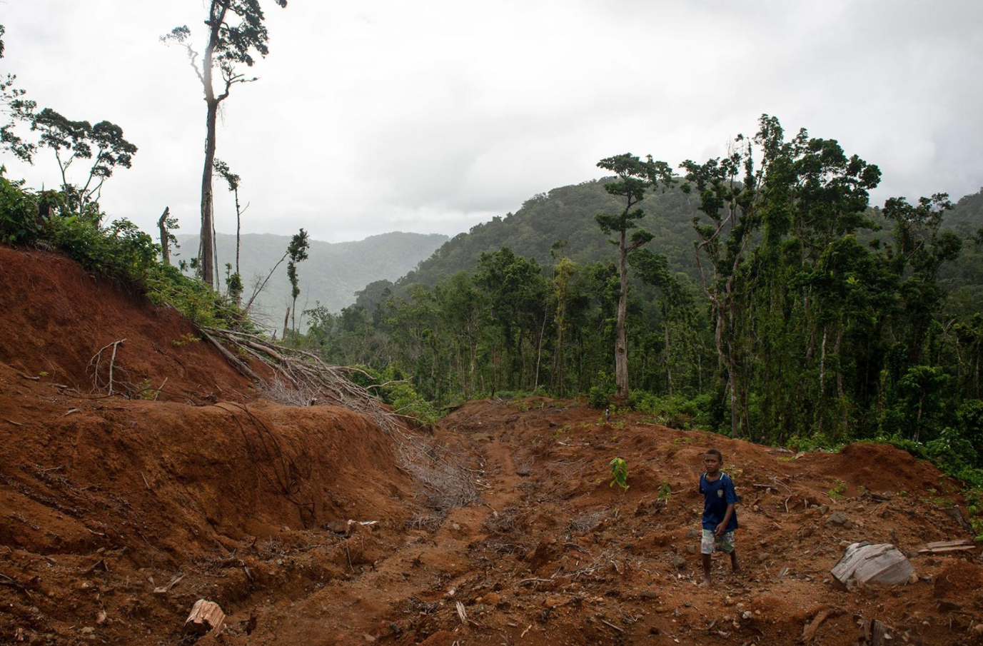 A logging road leads up to the main camp of Gallego, a logging company forced to stop operations by a local community. Image by Monique Jaques. Solomon Islands, 2020. A logging road leads up to the main camp of Gallego, a logging company forced to stop operations by a local community. Image by Monique Jaques. Solomon Islands, 2020.
