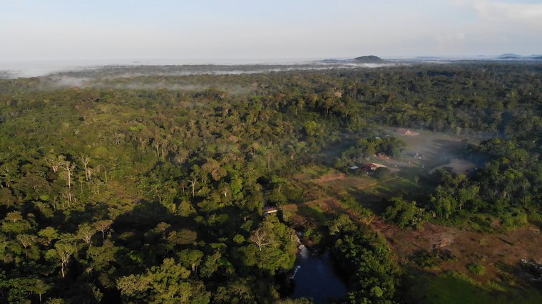 The jungle, Vaupes. Image by Luis Ángel. Colombia, 2019. Media file: 1.selvasvaupes_foto_agendapropia.max-760x504.jpg