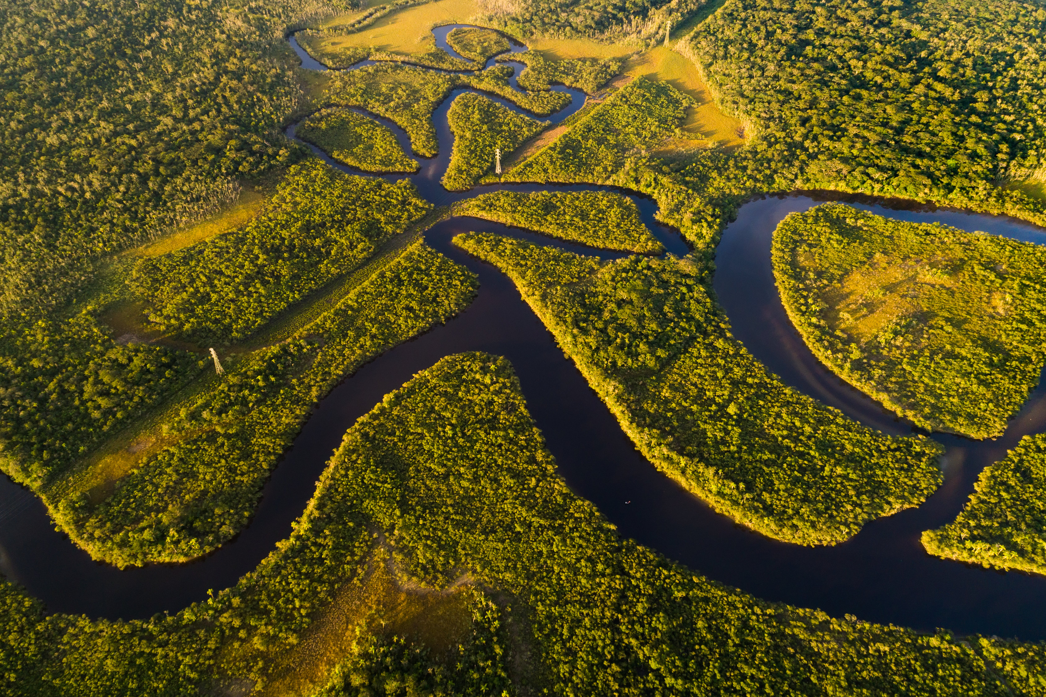 Amazon rainforest in Brazil. Image by Gustavo Frazao / Shutterstock. Brazil, undated. Amazon rainforest in Brazil. Image by Gustavo Frazao / Shutterstock. Brazil, undated.