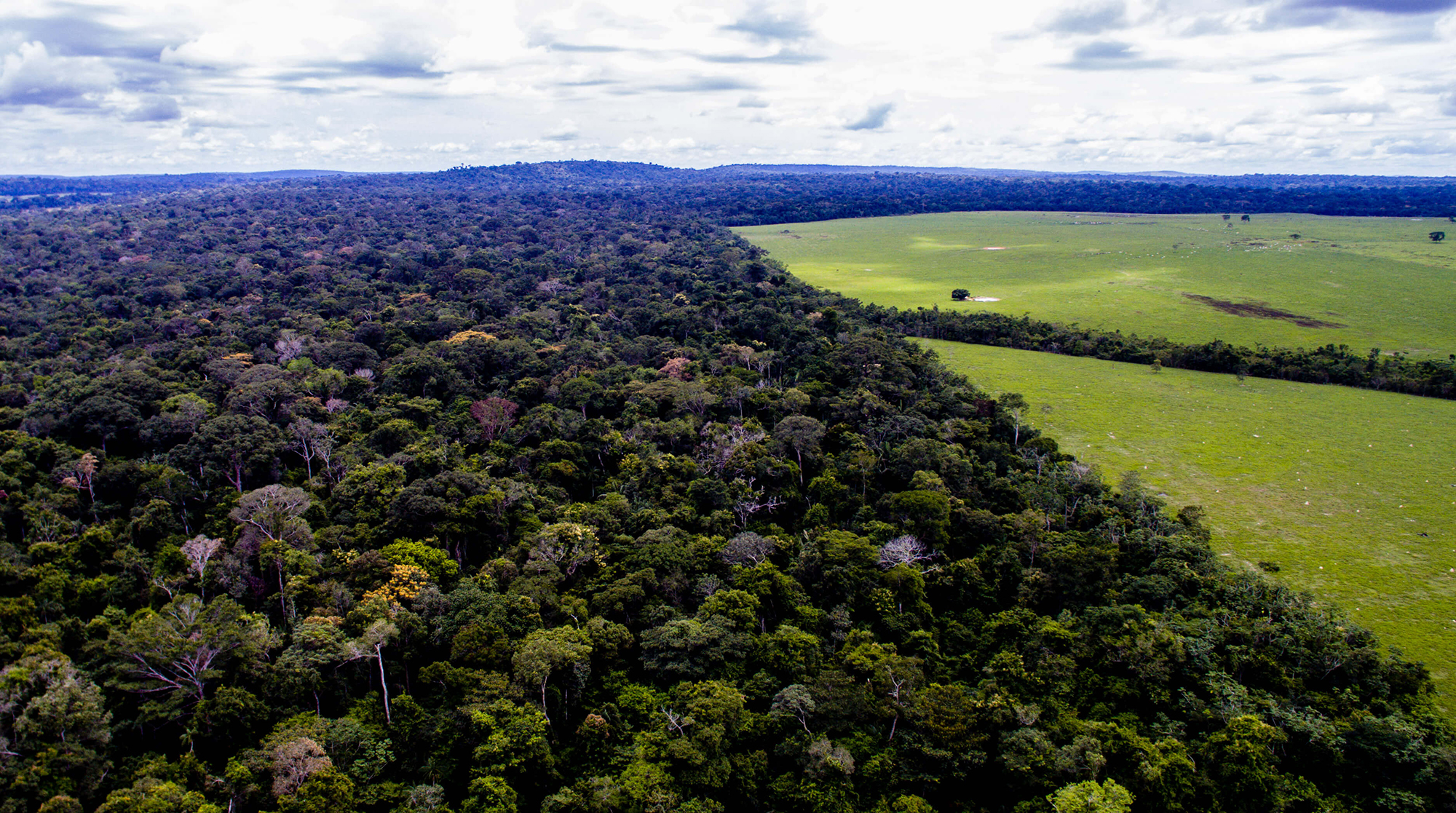 The forest and the farm near the Roosevelt River, Brazil. Image by Caio Mota. Brazil, 2019. The forest and the farm near the Roosevelt River, Brazil. Image by Caio Mota. Brazil, 2019.