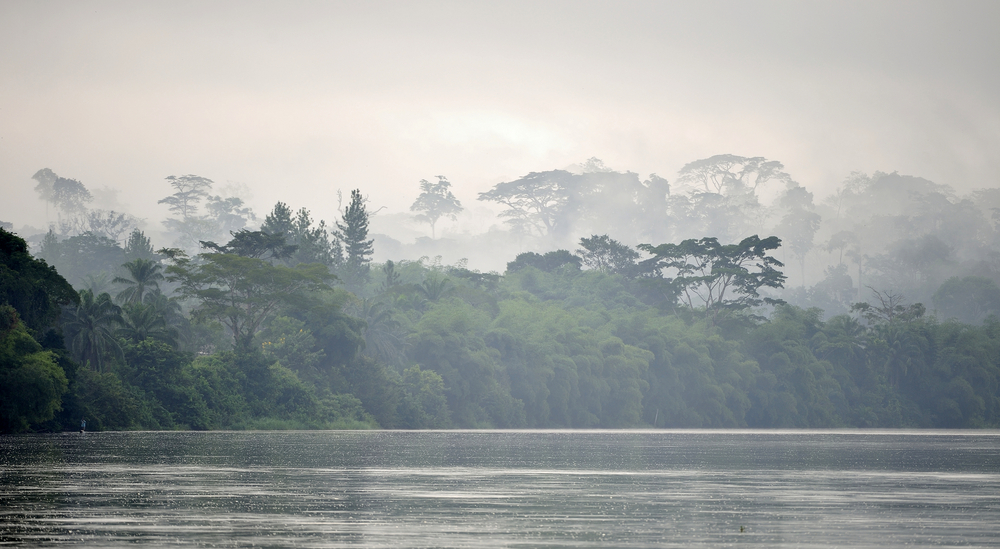 Image by Sergey Uryadnikov / Shutterstock. Democratic Republic of the Congo-Brazzaville, undated. Image by Sergey Uryadnikov / Shutterstock. Democratic Republic of the Congo-Brazzaville, undated.