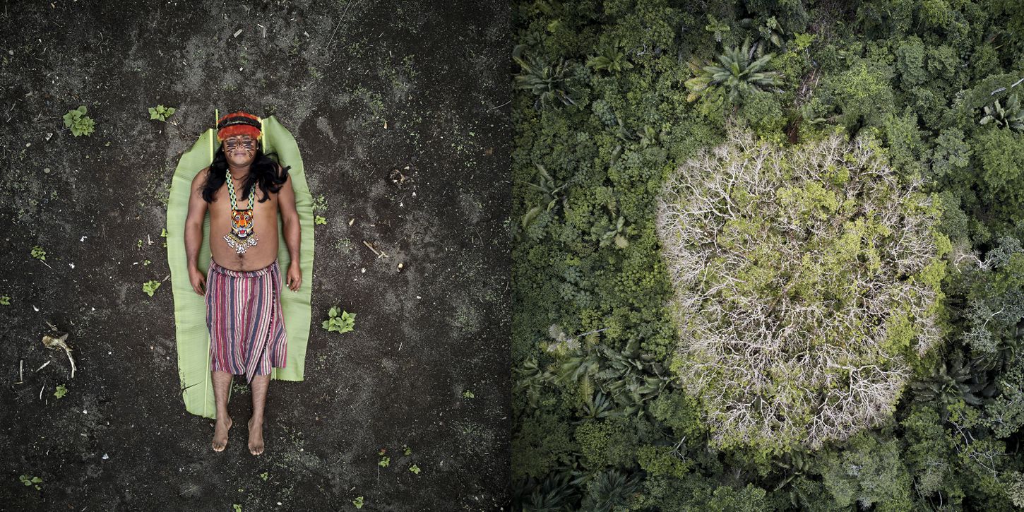 José juxtaposed with the Achuar rainforest in Ecuador. Image by Pablo Albarenga. Ecuador, 2019. José juxtaposed with the Achuar rainforest in Ecuador. Image by Pablo Albarenga. Ecuador, 2019.