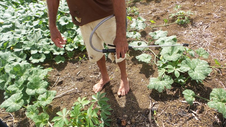 Antônio Carlos Alexandre do Nascimento, 51, applies streams of pesticide using application equipment that he carries on his back in his field. Image by Elizabeth Oliveira. Brazil, undated. Antônio Carlos Alexandre do Nascimento, 51, applies streams of pesticide using application equipment that he carries on his back in his field. Image by Elizabeth Oliveira. Brazil, undated.