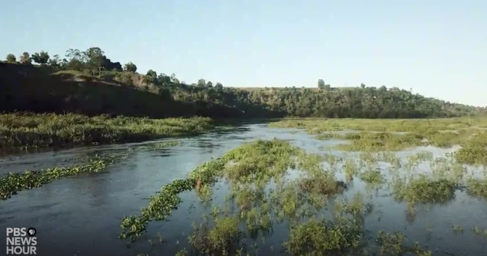 The Amazon is the world's largest rainforest and a critical line of defense against climate change. Image courtesy of PBS NewsHour. Brazil, 2019. The Amazon is the world's largest rainforest and a critical line of defense against climate change. Image courtesy of PBS NewsHour. Brazil, 2019.