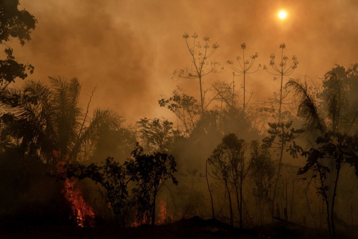 The data is from the National Institute for Space Research (INPE), which also points out that over 80 percent of the territory devoured by flames is in the Amazon. In Bujari, Acre, several fire outbreaks can be observed. Image by Marcio Pimenta. Brazil, 2019. The data is from the National Institute for Space Research (INPE), which also points out that over 80 percent of the territory devoured by flames is in the Amazon. In Bujari, Acre, several fire outbreaks can be observed. Image by Marcio Pimenta. Brazil, 2019.