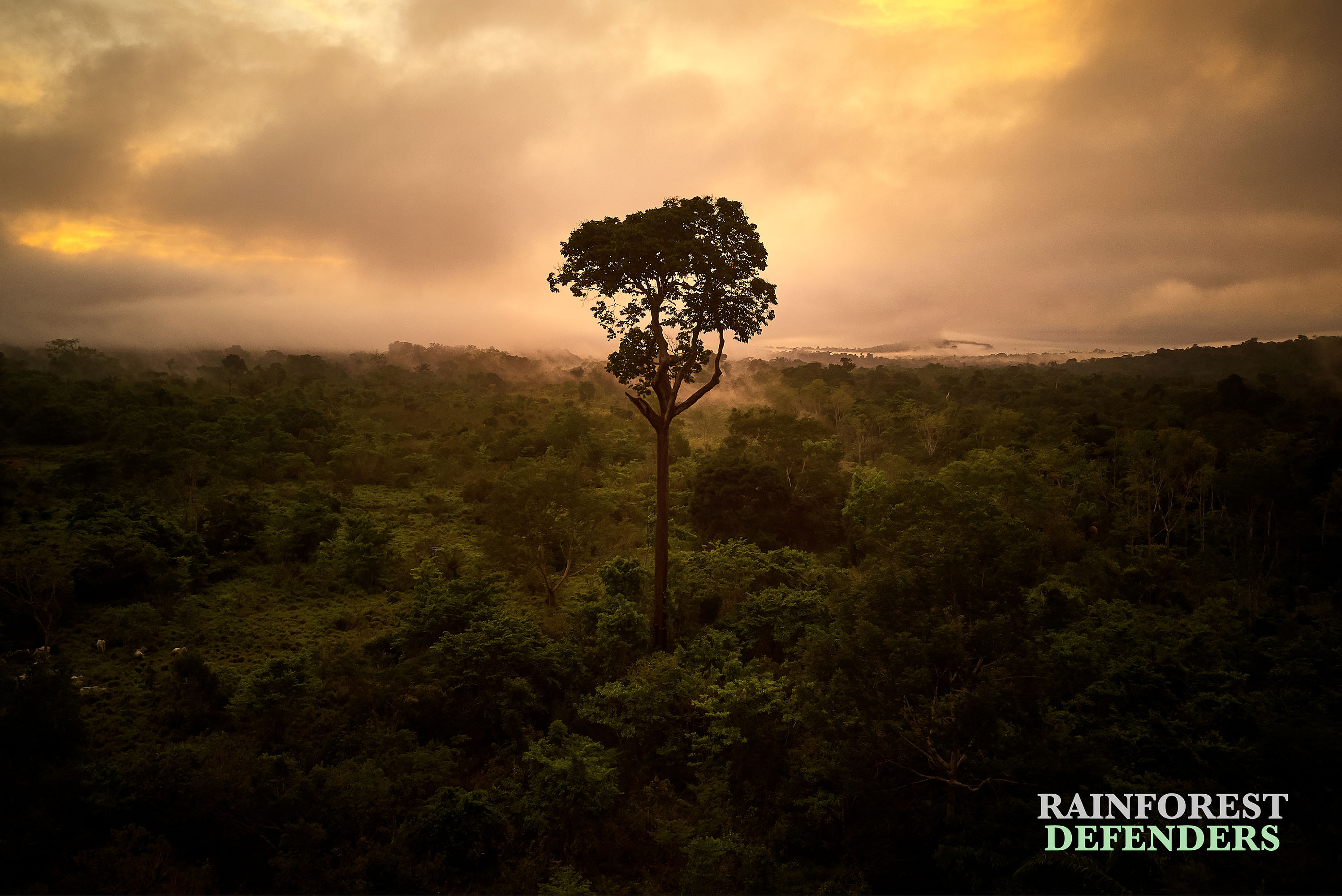 Sunrise on the Arinos River in the North of Mato Grosso, over Rikbaktsa indigenous lands. Image by Pablo Albarenga. Brazil, 2019. Sunrise on the Arinos River in the North of Mato Grosso, over Rikbaktsa indigenous lands. Image by Pablo Albarenga. Brazil, 2019.