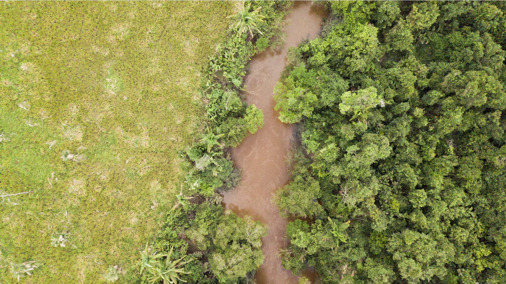 The Caru River cuts through the land and shows the pristine forest of the Indigenous lands in stark contrast with the deforested area on the opposite bank. Image by Sam Eaton. Brazil, 2018. The Caru River cuts through the land and shows the pristine forest of the Indigenous lands in stark contrast with the deforested area on the opposite bank. Image by Sam Eaton. Brazil, 2018.