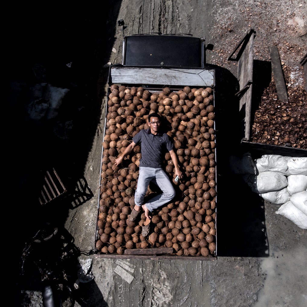 faisal-protecting-the-coconut-bounty.jpg Image by Jervis Gonzales. Philippines, undated.