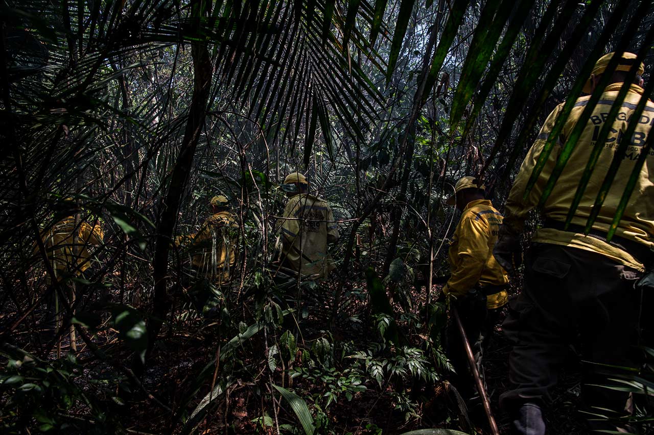 Brigadeiros do ICMBio arriscam a própria vida ao entrar na Floresta Nacional do Tapajós em busca de incêndios florestais. Imagem de Flavio Forner. Brasil, 2020. Brigadeiros do ICMBio arriscam a própria vida ao entrar na Floresta Nacional do Tapajós em busca de incêndios florestais. Imagem de Flavio Forner. Brasil, 2020.