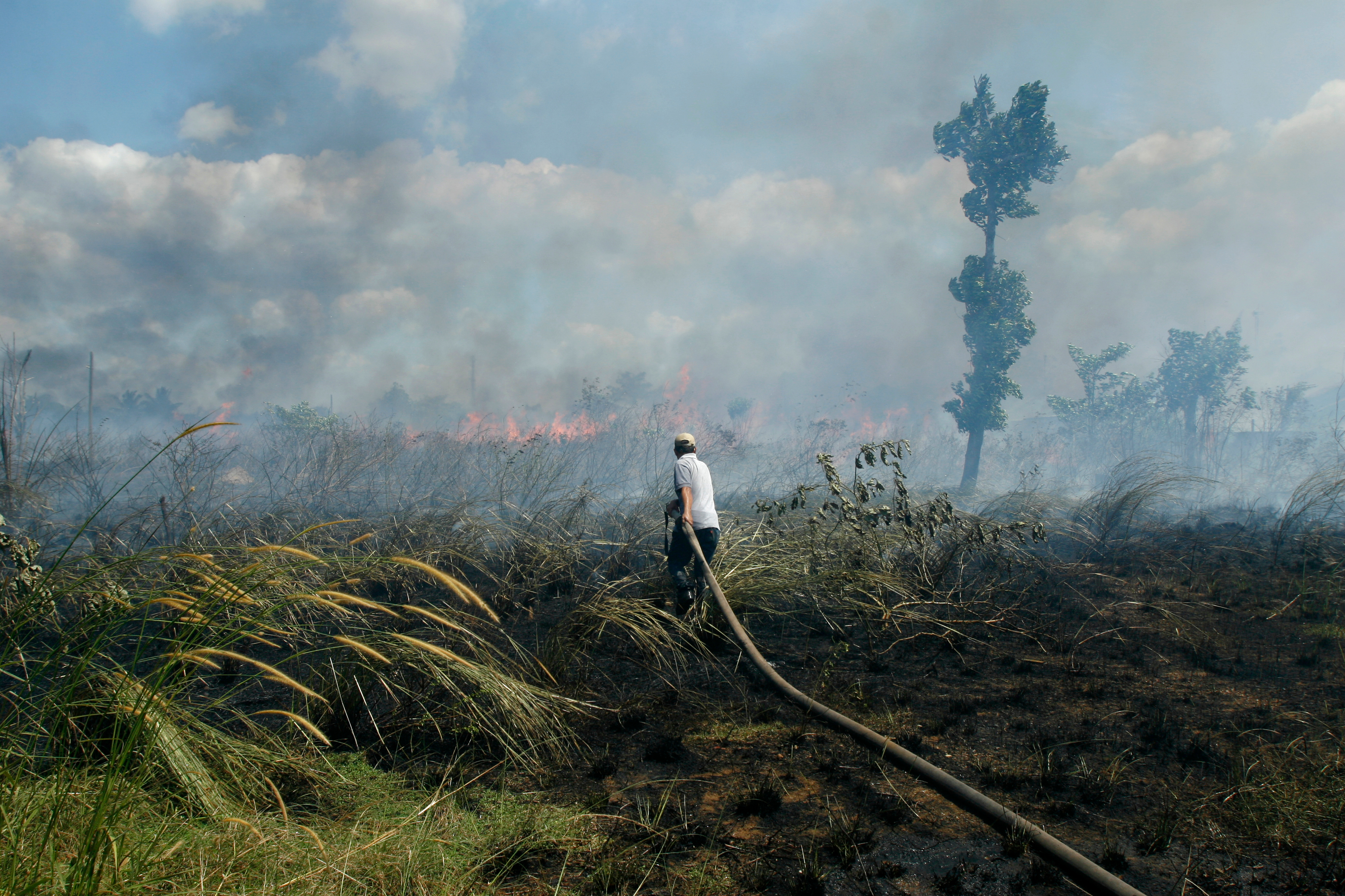 Petugas pemadam kebakaran berada di dekat asap dari kebakaran hutan di hutan tropis kering, Kalimantan Selatan, Kalimantan, Indonesia. Gambar oleh donny sophandi / Shutterstock. Indonesia, tidak bertanggal. Firefighters are near smoke from forest fires in dry tropical forests, South Kalimantan, Borneo, Indonesia. Image by donny sophandi/Shutterstock. Indonesia, undated.