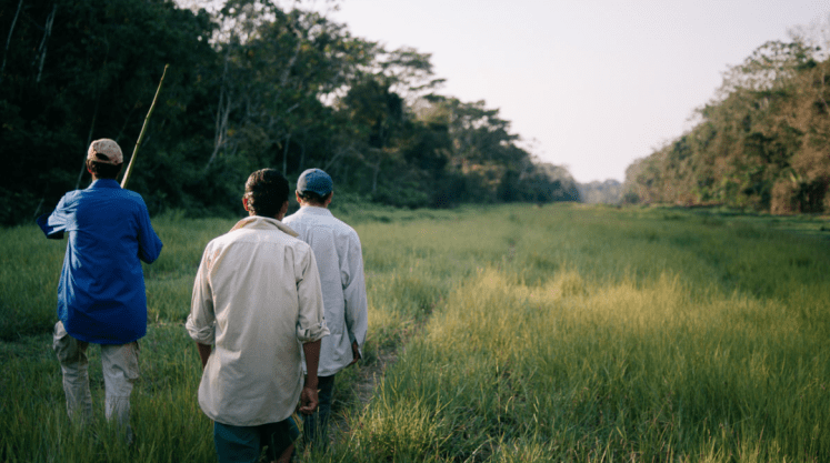 Maraca'tunsi community members walk the airstrip that enabled the San Ambrosio company in the middle of the Benyan Amazon. Image by Manuel Seoane. Bolivia, 2019. Maraca'tunsi community members walk the airstrip that enabled the San Ambrosio company in the middle of the Benyan Amazon. Image by Manuel Seoane. Bolivia, 2019.