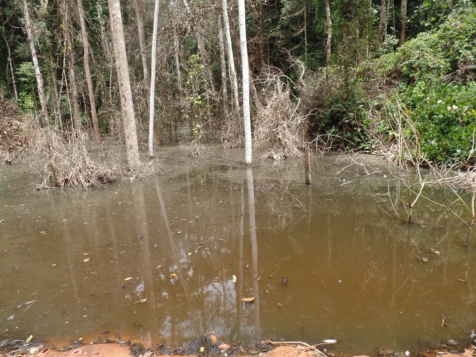 Flooded forests and plumes of water polluted by mining activity in a village called Zoulabouth. Image by Marien Nzikou-Massala / @eraenvironnement. Republic of the Congo, 2020. Flooded forests and plumes of water polluted by mining activity in a village called Zoulabouth. Image by Marien Nzikou-Massala / @eraenvironnement. Republic of the Congo, 2020.