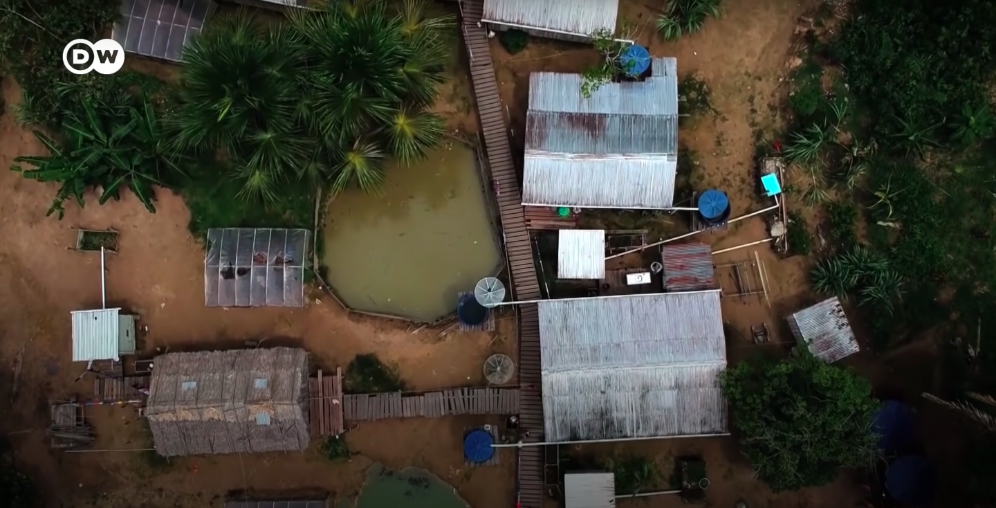 dw.png Com um passado de trabalho análogo à escravidão, ex-seringueiros se organizam e viram fornecedores importantes da indústria de cosméticos. Um exemplo de como lucrar diretamente com uma Amazônia preservada. Imagem cortesia de DW Brasil.