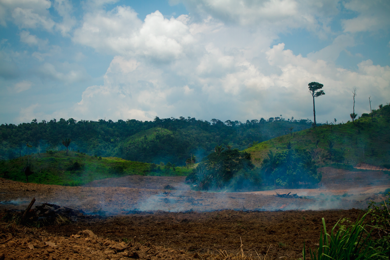 sao_felix_do_xingu.png Deforestation on the livestock farm in the municipality of São Félix do Xingu, in Pará. Image by Marcio Isensee/Shutterstock. Brazil.