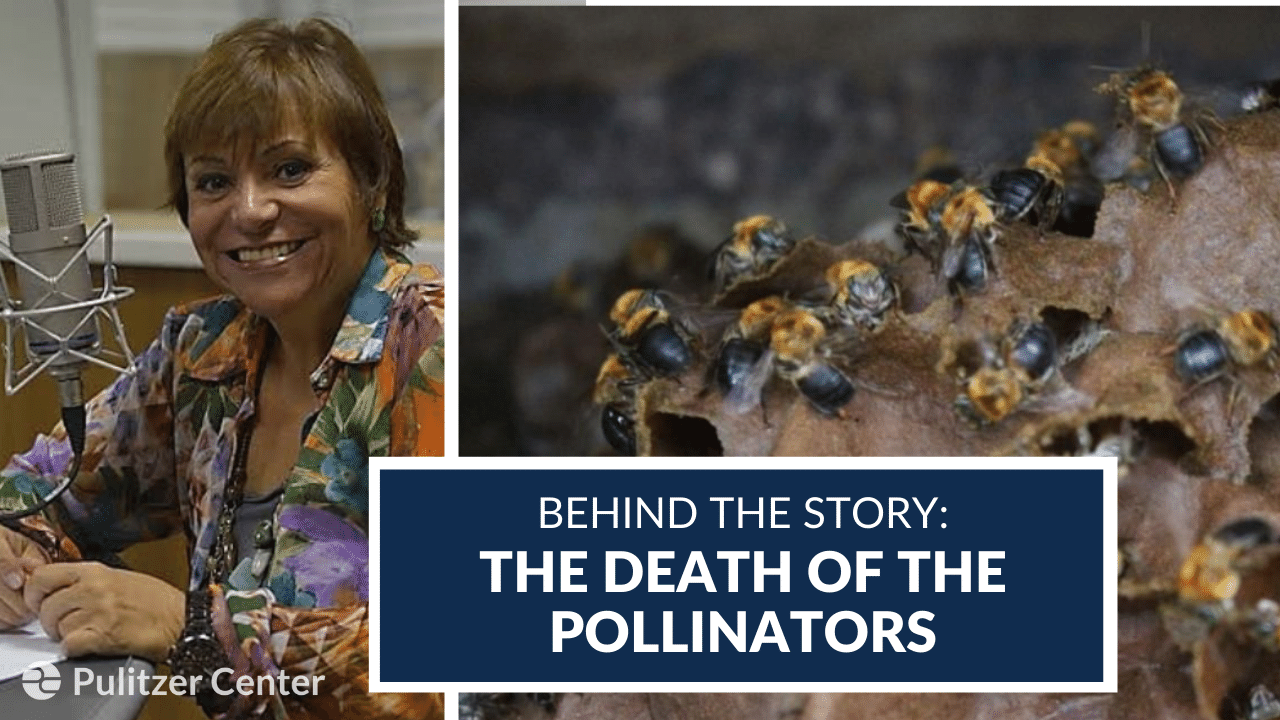 Behind the Story: "The Death of the Pollinators," with Mara Régia di Perna. Behind the Story: The Death of the Pollinators, with Mara Régia di Perna.