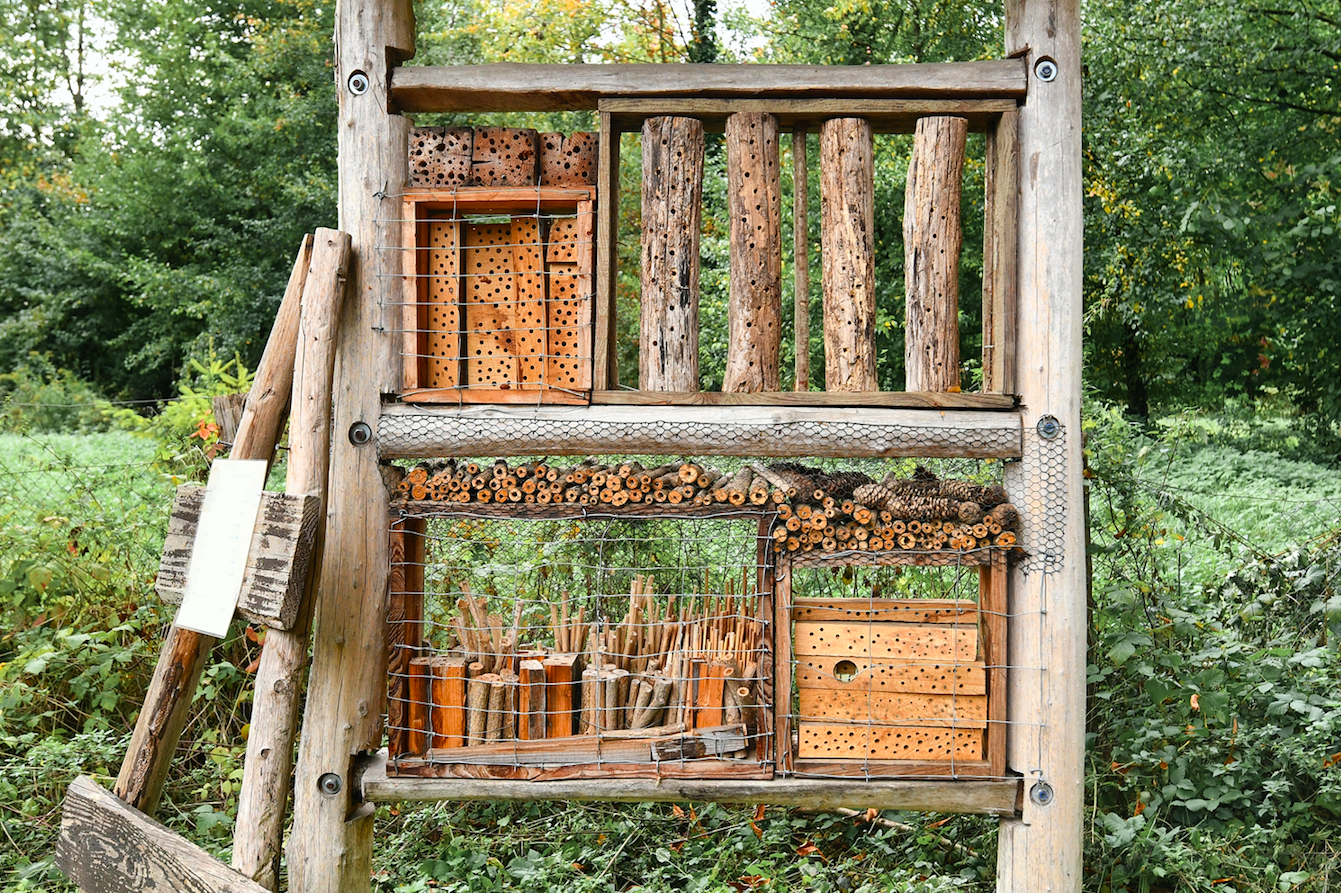 Insect house hotel made out of natural wood material created to provide shelter for insects to prevent their extinction. Image by Shutterstock. Insect house hotel made out of natural wood material created to provide shelter for insects to prevent their extinction. Image by Shutterstock.