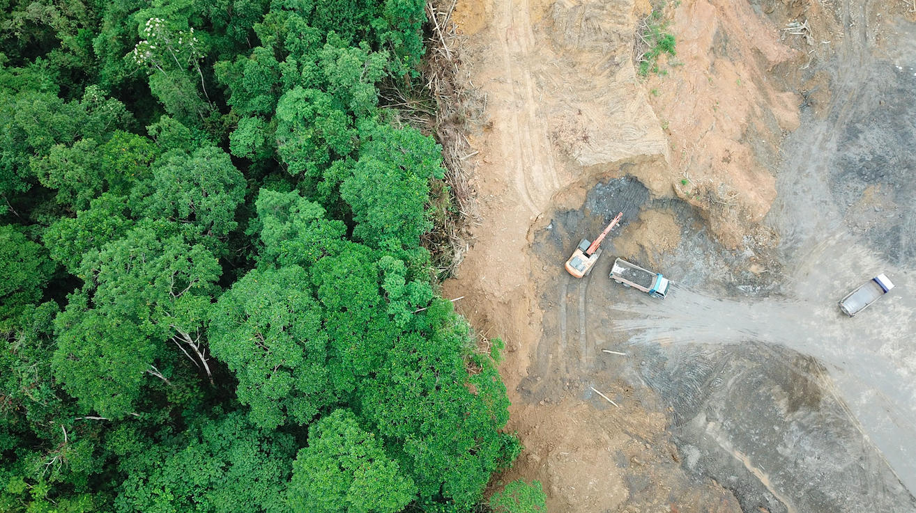 Rainforest in Borneo, Malaysia destroyed to make way for oil palm plantations. Image by Rich Carey/Shutterstock. Malaysia, date unknown. Rainforest in Borneo, Malaysia destroyed to make way for oil palm plantations. Image by Rich Carey/Shutterstock. Malaysia, date unknown.