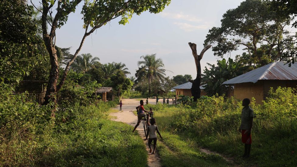 p093bkw8.jpg Communities living in the Congo Basin rainforest are being granted large tracts of land to manage sustainably