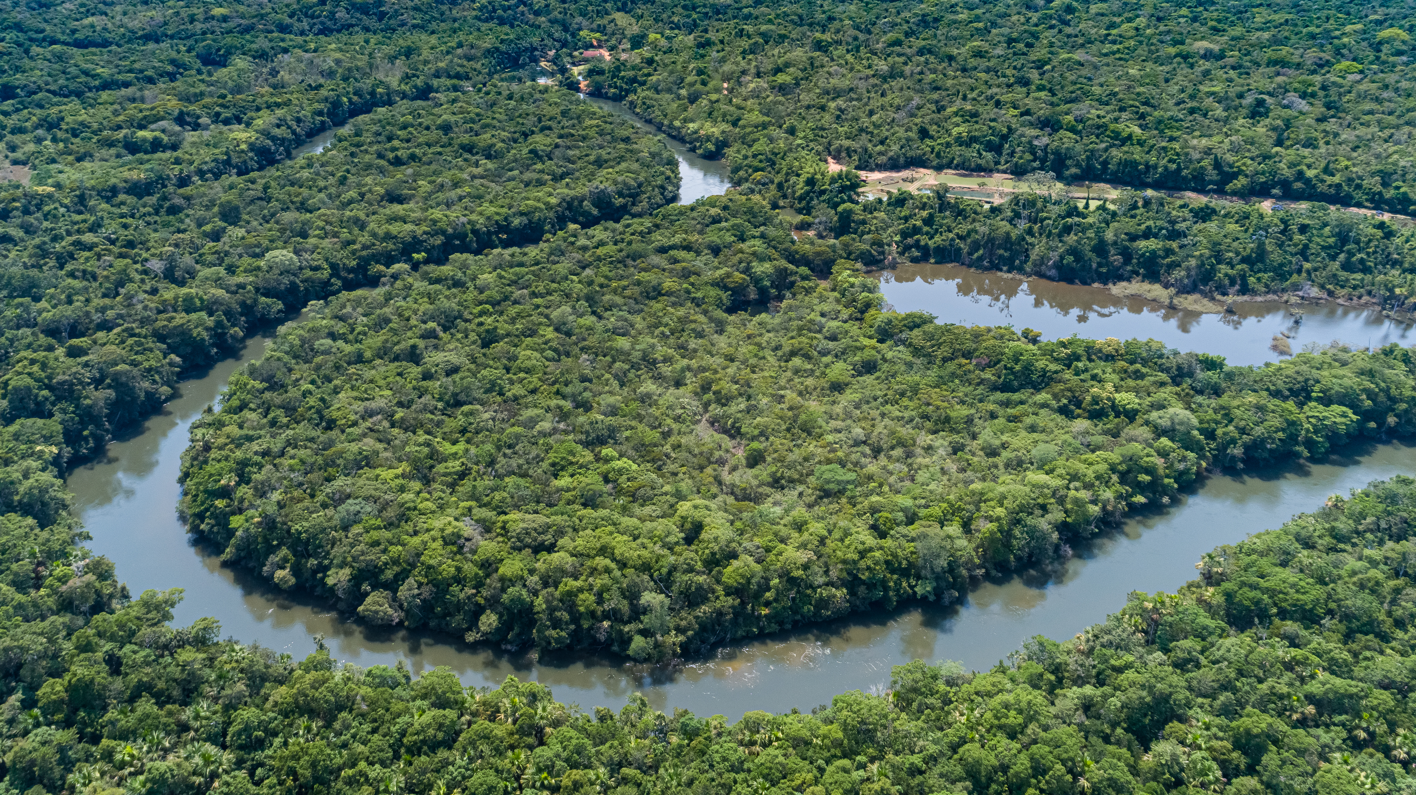 Aerial view of a meandering Amazon tributary river