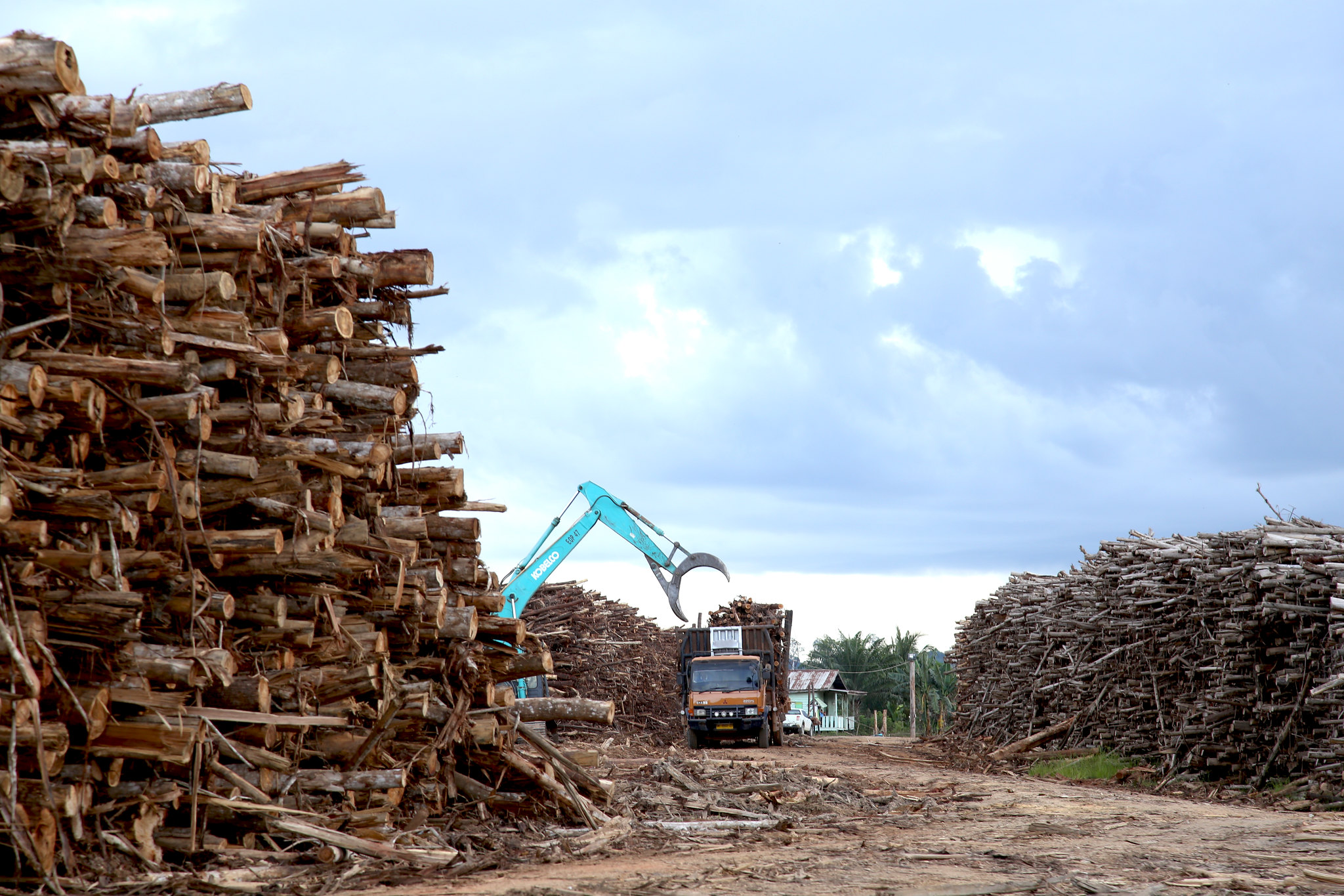 A crane picks up logs from a truck amidst big piles of logs.