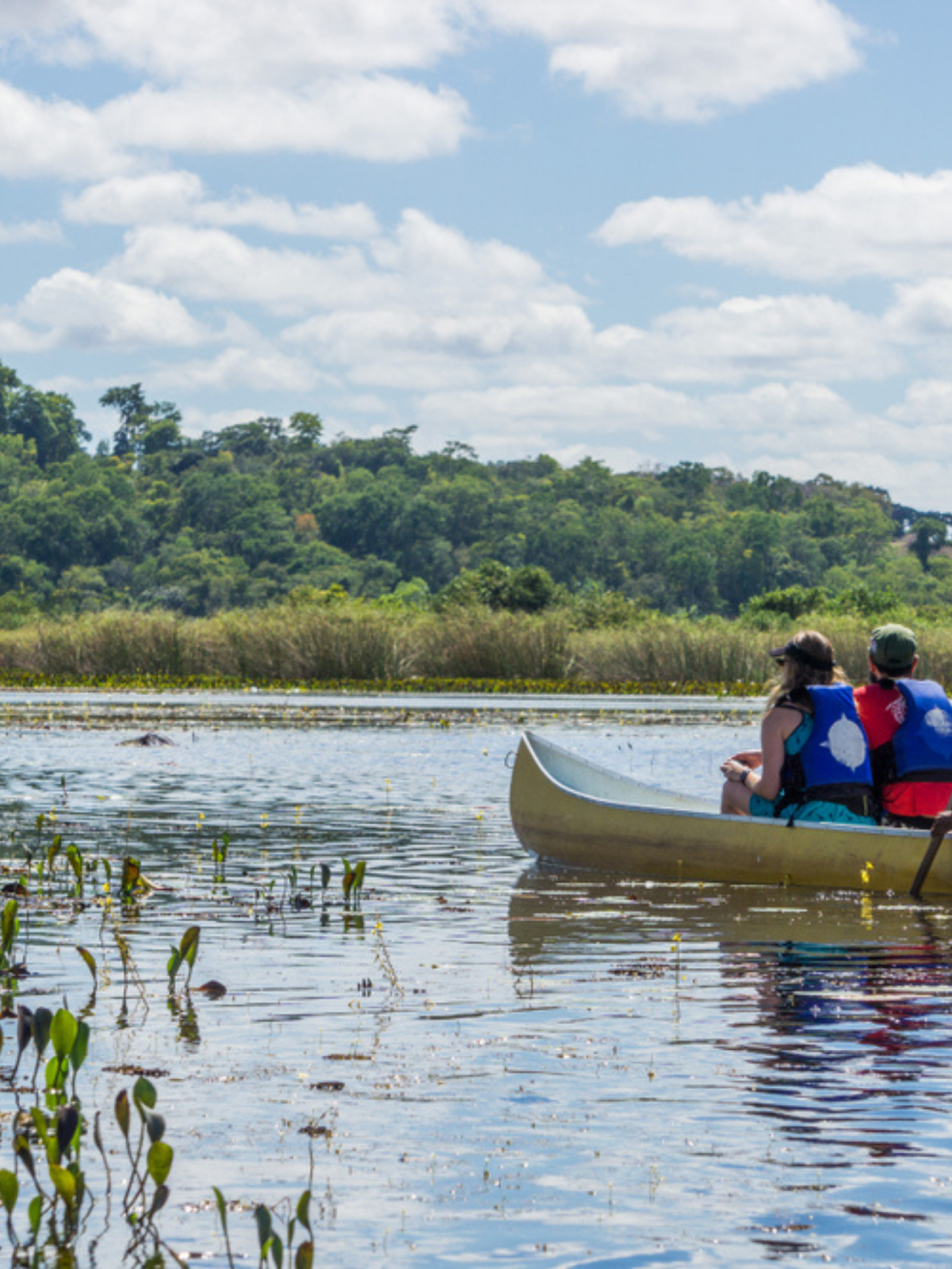 Two people are paddling a canoe on the river.
