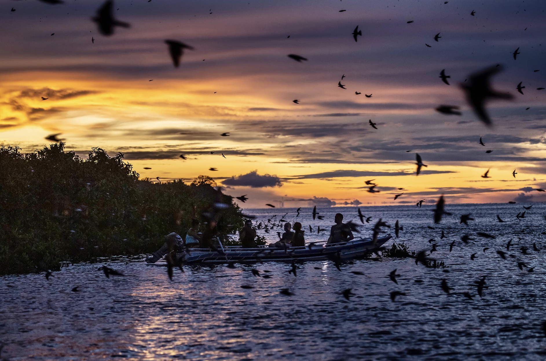 a sunset with birds