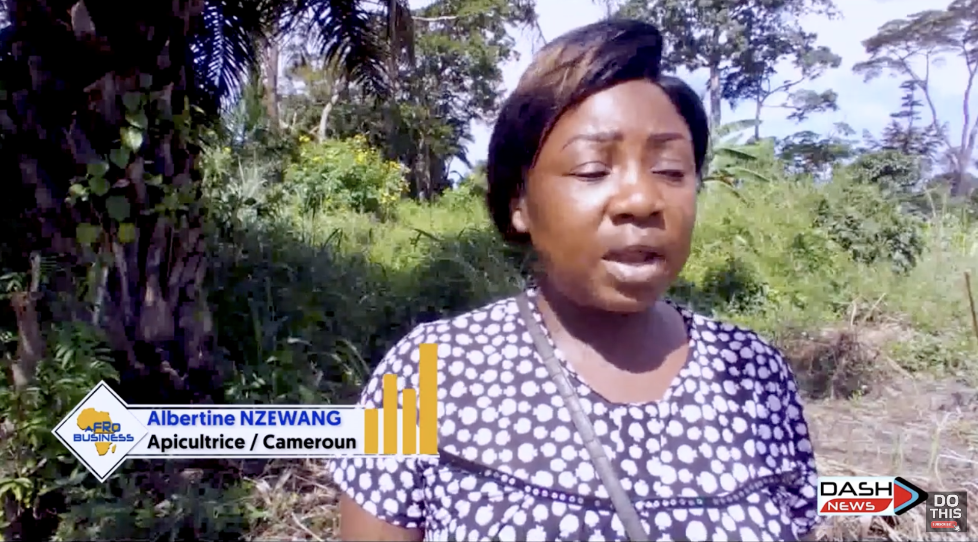 Protecting the Mangrove, a Necessity for Economies – Afro Business With Paul Joël Kamtchang