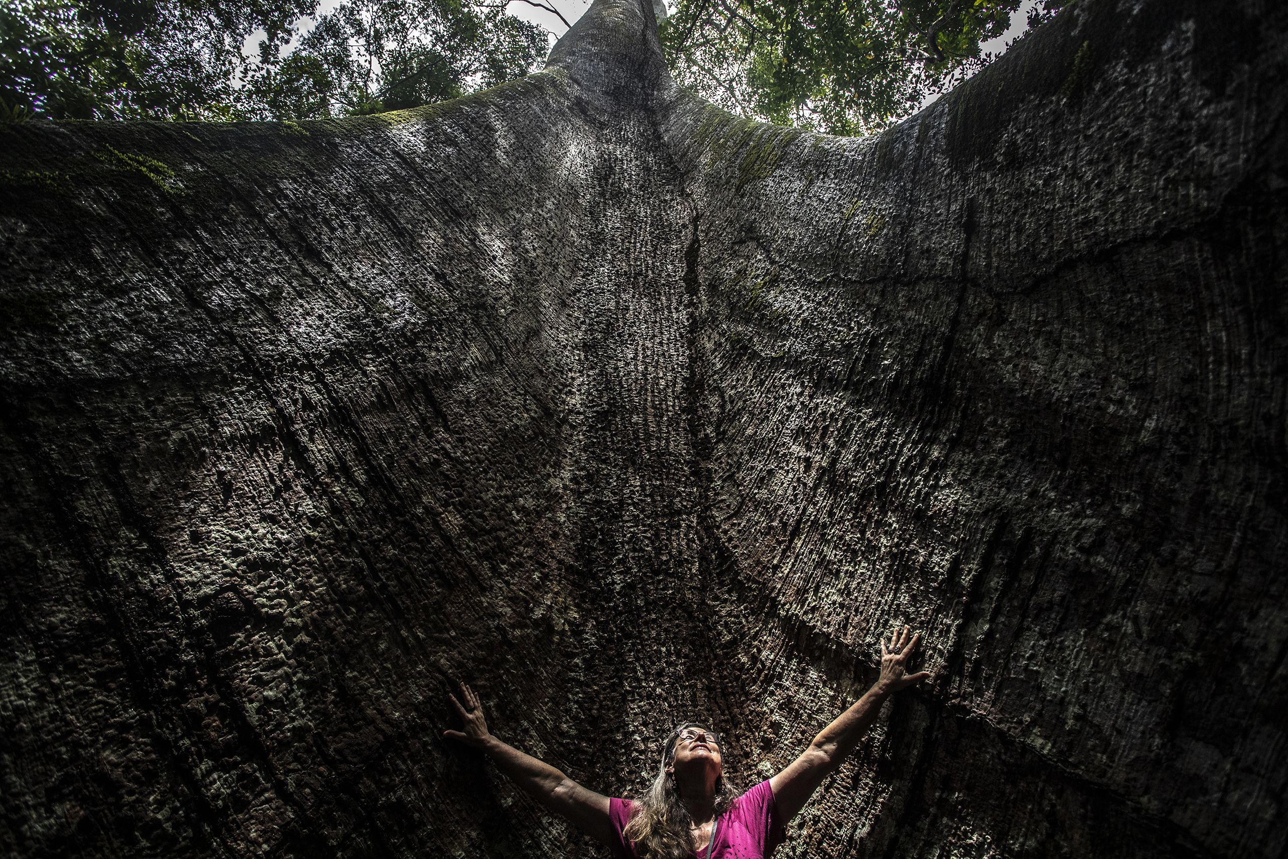 a woman poses near a tree