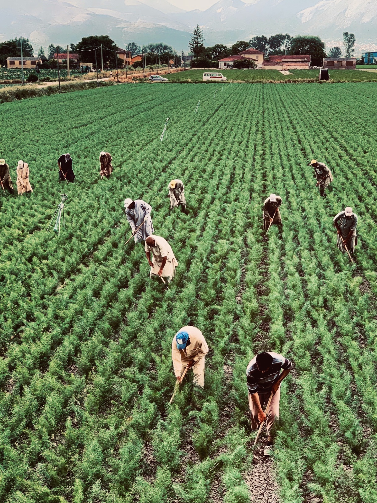 people working on a farm