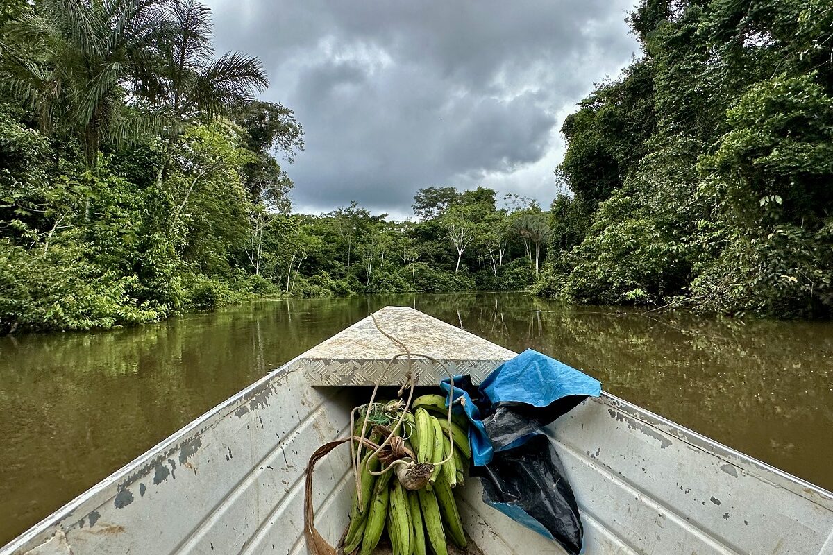 Peru’s Isolated Tribes Under Pressure Rainforest Journalism Fund
