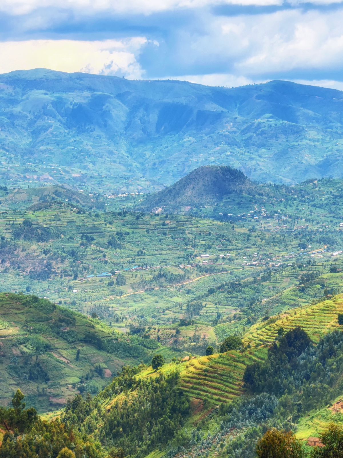 Forests In Rwandan Radio: Gishwati-Mukura Park: Between Protection and Survival of Local ...