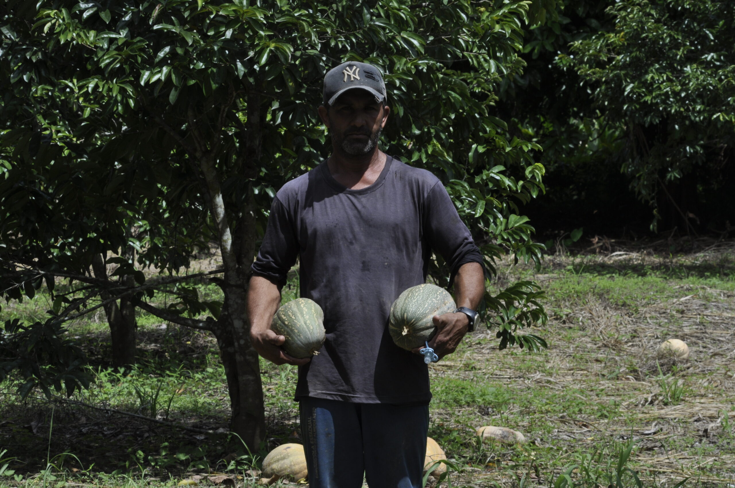 A cada ano as mudanças climáticas impactam o modo de vida das populações da Amazônia. Sejam pelas enchentes extremas ou pelas secas também extremas, as comunidades urbanas e rurais da região sentem os efeitos destas alterações - que passaram a acontecer com mais severidade e frequência. E o Acre é um dos estados brasileiros mais afetados pelos eventos climáticos extremos. Dentro deste cenário, as comunidades rurais e ribeirinhas parecem sentir com mais intensidade as alterações nos ciclos de chuvas e de est