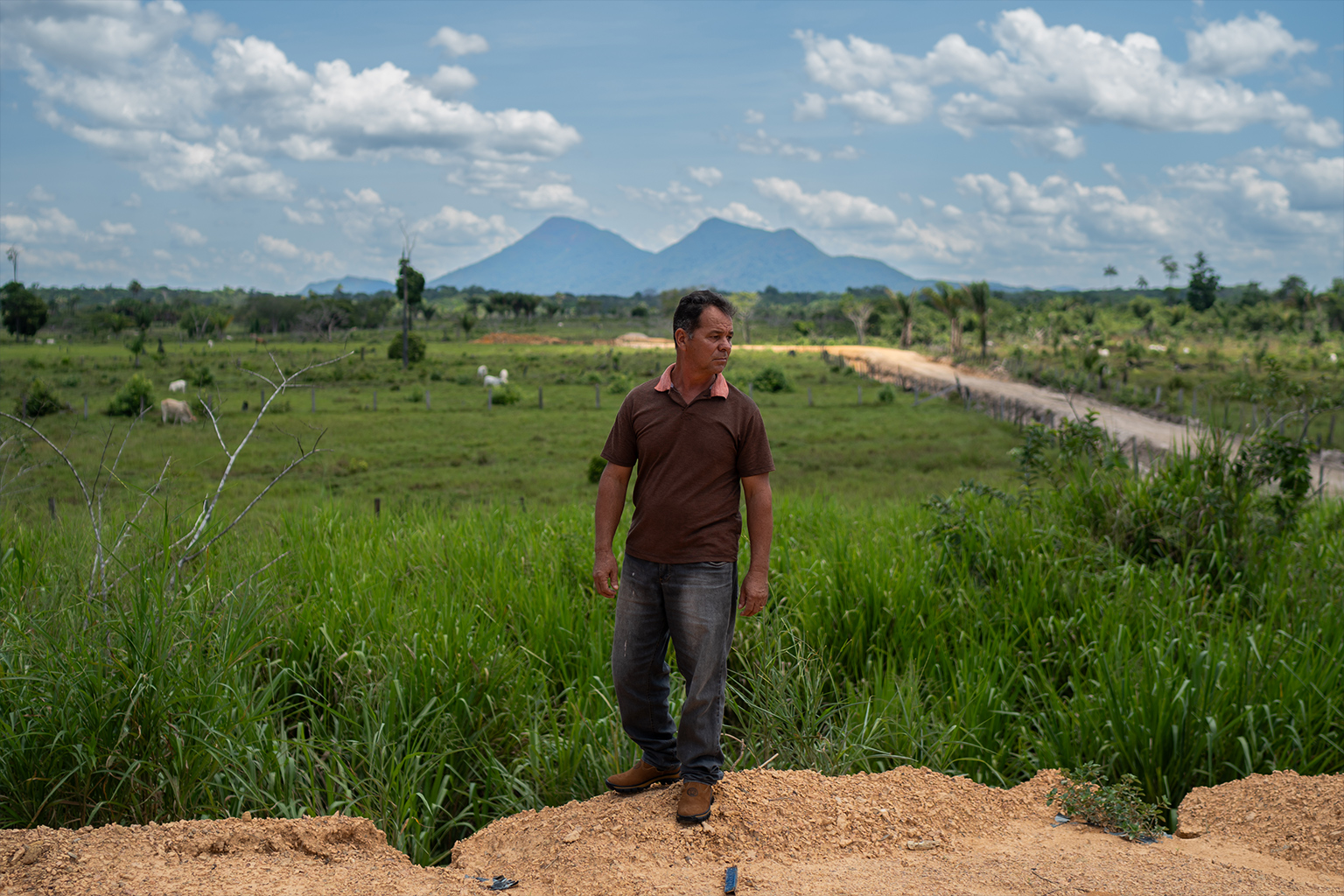 A man stands in a green field.
