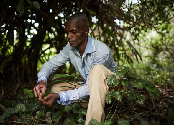 Congo, 2019. Image by Hugh Kinsella Cunningham.