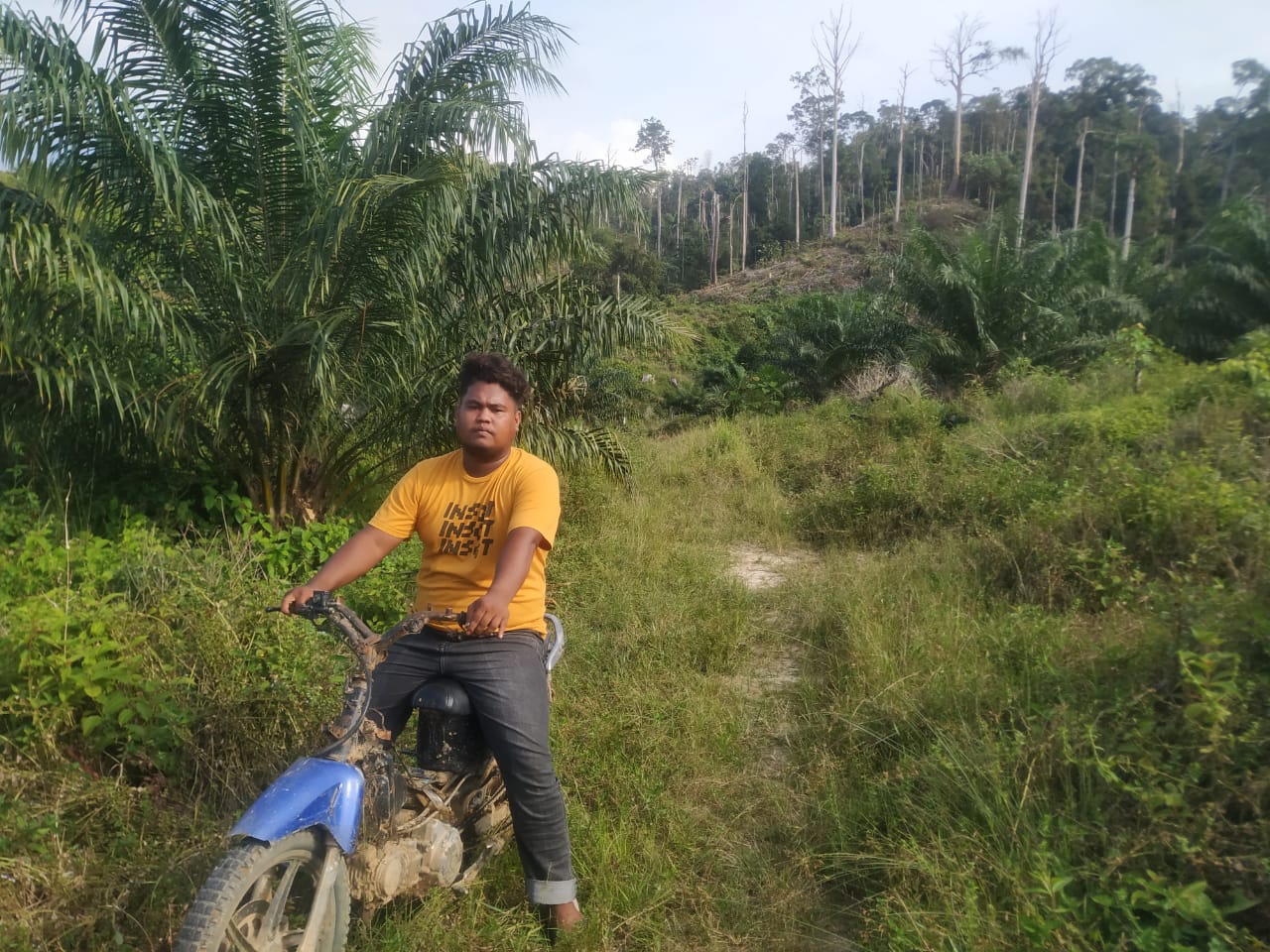 Heaven and Hell in Bukit Tigapuluh National Park Rainforest