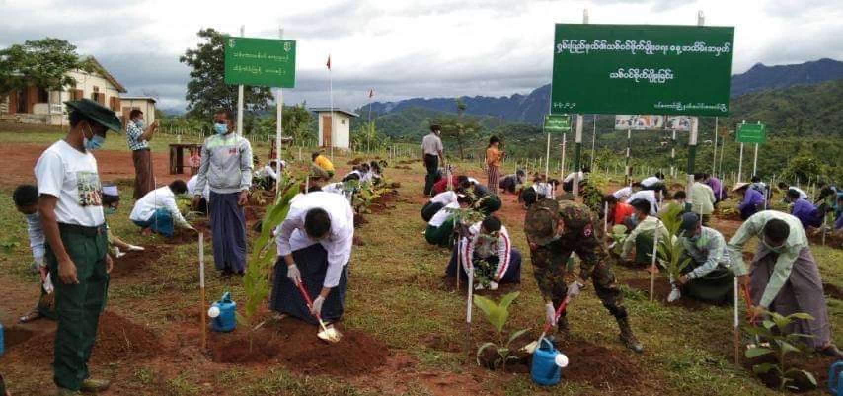 a few dozen people dig in the ground at a tree-planting drive