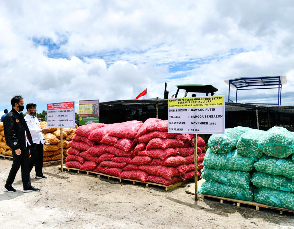 Shallot and garlic are on display in bags while officials look at them at the food estate area in Ria-Ria village.