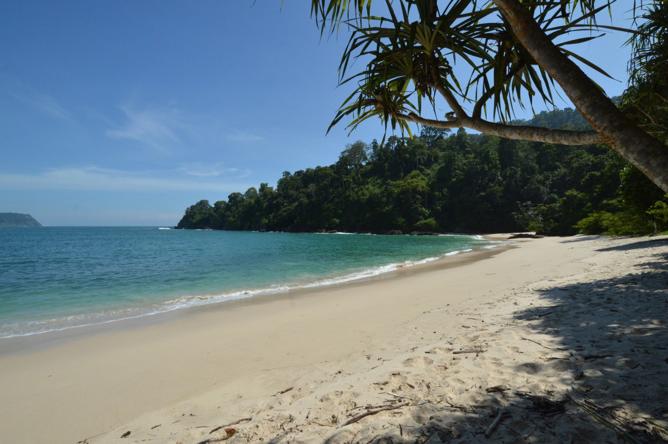 An empty beach on a sunny day with white sand, clear water, and trees along the coastline.
