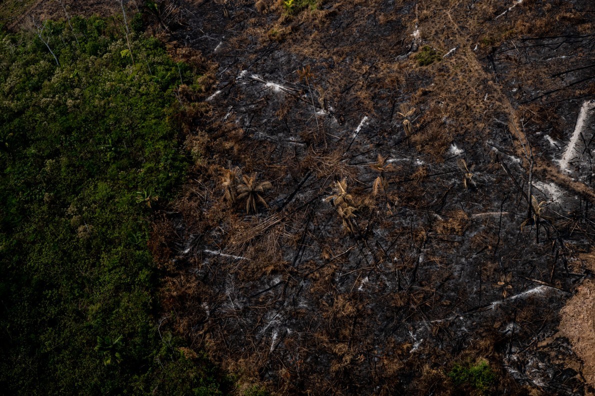 Region of deforested forest in the Acrean Amazon. Image by Marcio Pimenta. Brazil, 2019. Region of deforested forest in the Acrean Amazon. Image by Marcio Pimenta. Brazil, 2019.