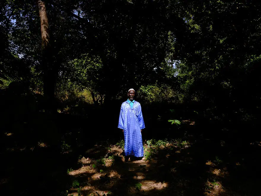 Image by Ricci Shryock/Mongabay. Guinea-Bissau, 2020. Image by Ricci Shryock/Mongabay. Guinea-Bissau, 2020.