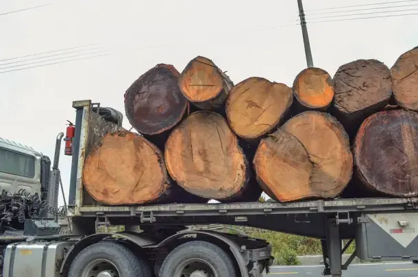 En provincias como Orellana, la deforestación también ha aumentado de manera significativa, así como las necesidades de los pobladores. Image by Rodolfo Ansar. Ecuador, 2019.