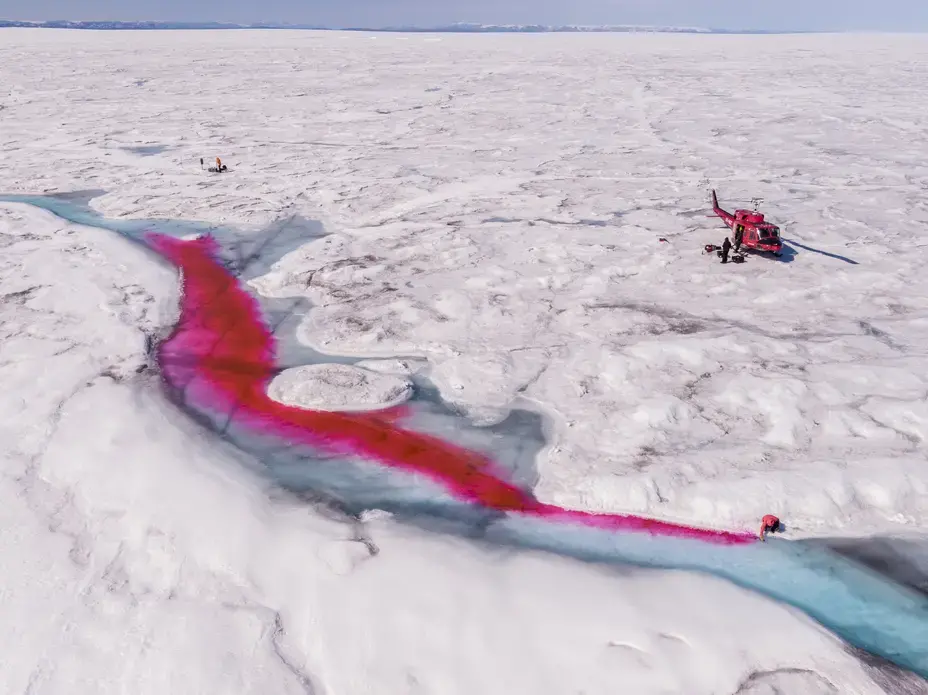 In March, Geophysical Research Letters reported that the western part of Greenland’s ice sheet is melting at its fastest rate in at least 450 years. Some scientists believe that the Arctic hasn’t seen ice melt like this in 5,000 years. If the ice sheet melts entirely, sea levels would rise 20 feet, leaving Lower Manhattan underwater. Jason Gulley, a geologist, and Celia Trunz, a Ph.D. student in geology, have been conducting meltwater research by releasing a fluorescent red dye to determine how and why…