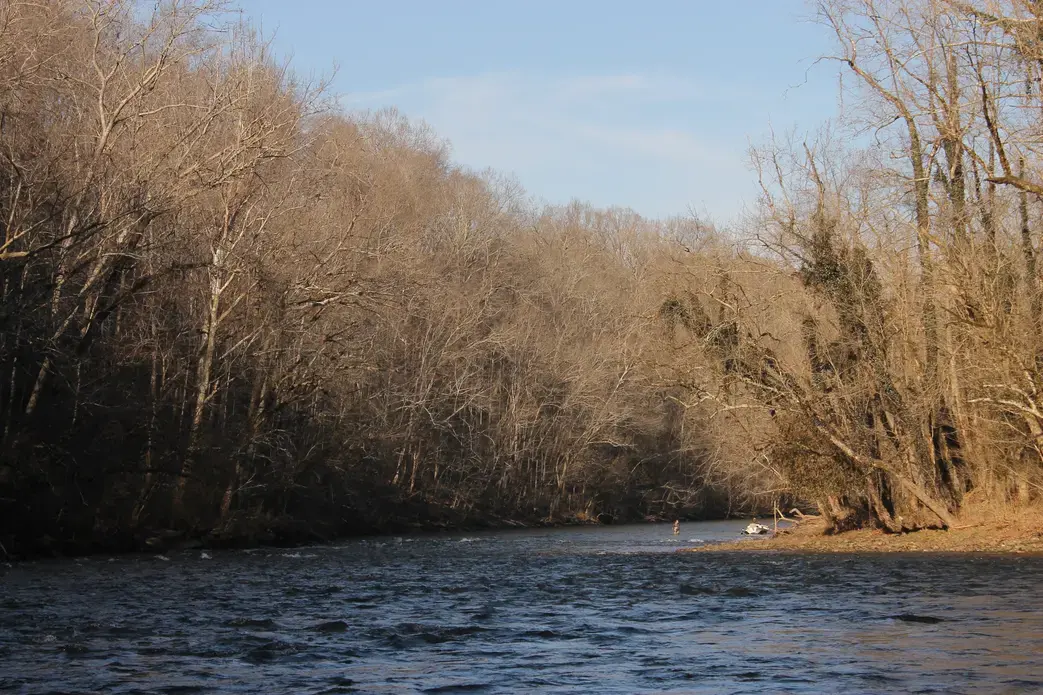 A fisherman wades into the Watauga River. Image by Emma Johnson. United States, 2021.
