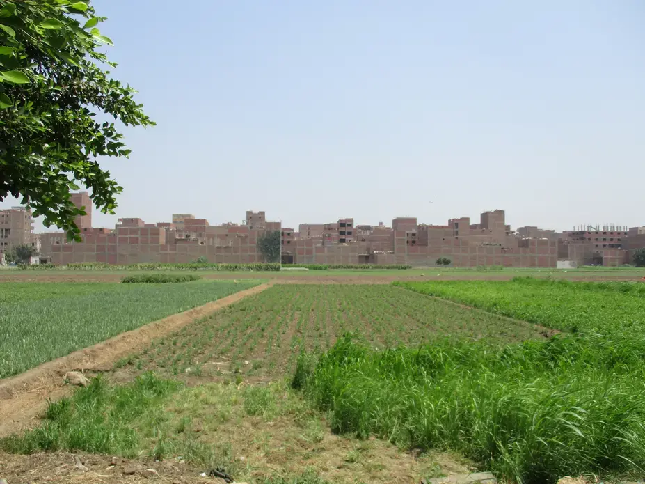 New informal development in a Western suburb of Cairo encroaches onto agricultural land. Image by Jahd Khalil. Egypt, 2016.