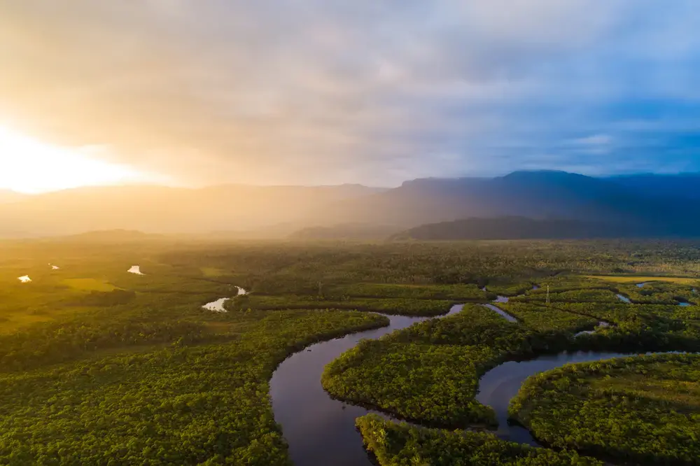 Image by Shutterstock. Brazil, undated.