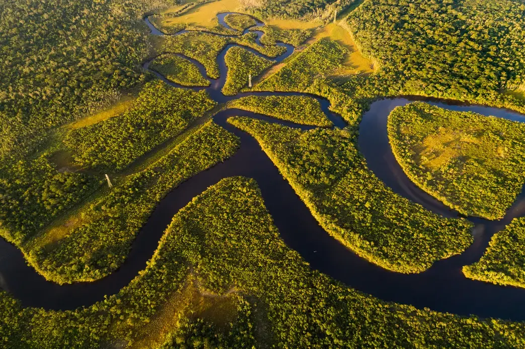 Amazon rainforest in Brazil. Image by Gustavo Frazao / Shutterstock. Brazil, undated. Amazon rainforest in Brazil. Image by Gustavo Frazao / Shutterstock. Brazil, undated.