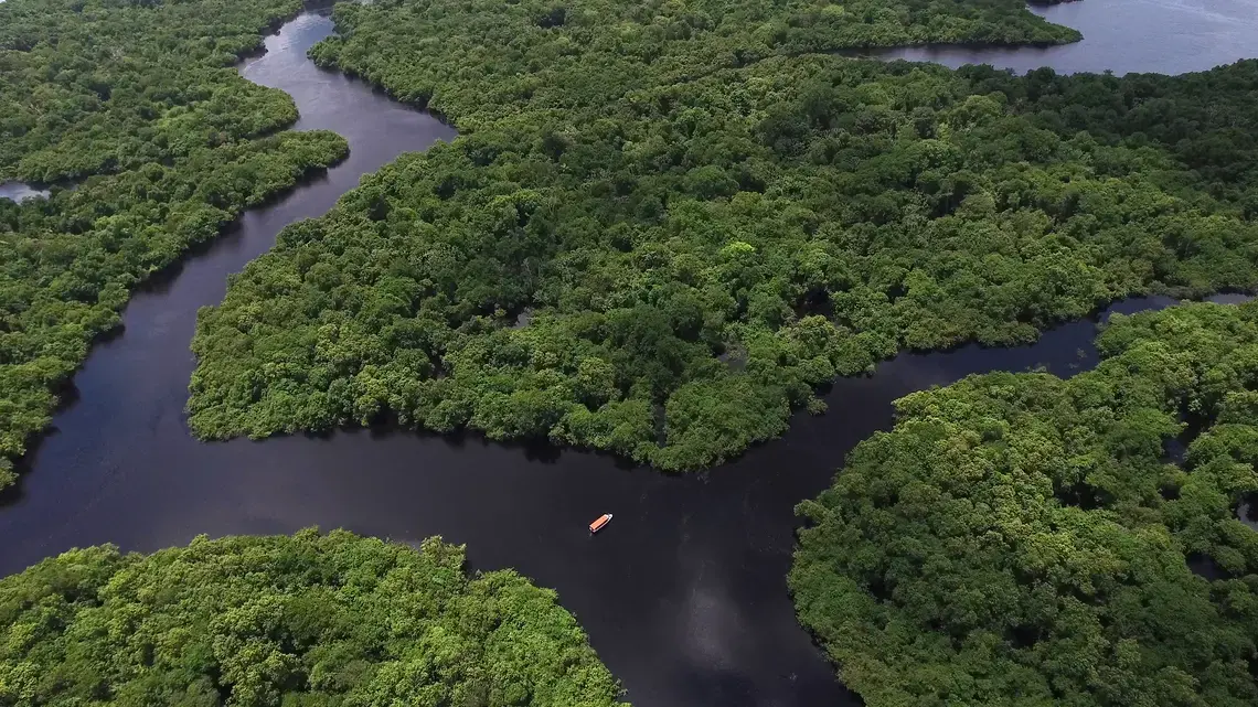 Aerial shot of the Amazon rainforest in South America. Image by Gustavo Frazao. Brazil, undated. Aerial shot of the Amazon rainforest in South America. Image by Gustavo Frazao. Brazil, undated.