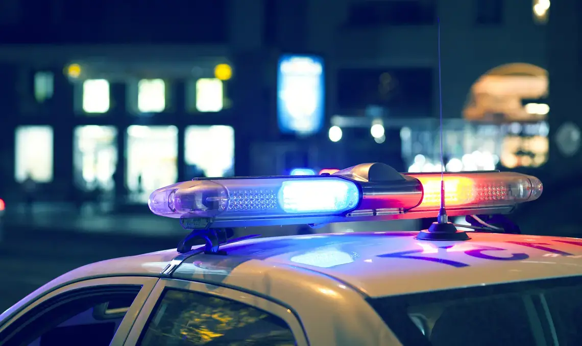 Blue light flasher atop of a police car. Image by Tiko Aramyan, undated.