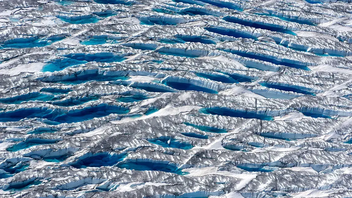 Meltwater fills bus-sized fractures near the edge of the Greenland Ice Sheet, while dust and algae darken adjacent ice. Image by Eli Kintisch. Greenland, 2017.