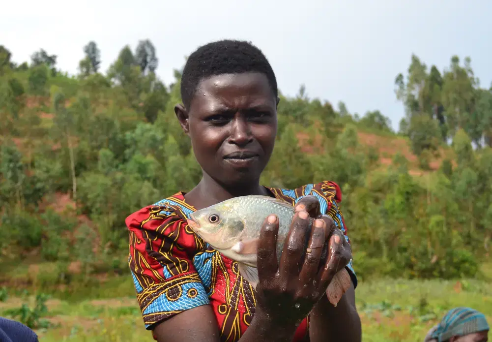 A young member of the Amahoro fish farming cooperative holds up one of the several fish the women catch each day. Image by Camille Behnke. Rwanda, 2019.